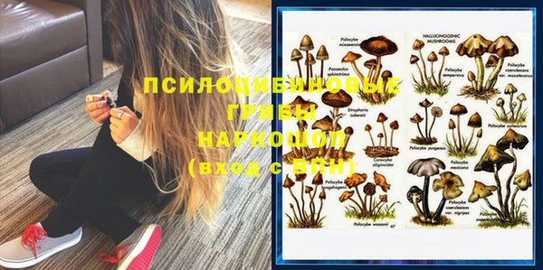 шишки Армянск