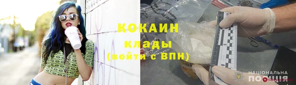 шишки Армянск
