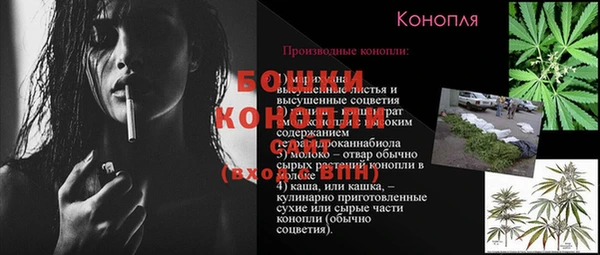 шишки Армянск