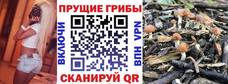 Галлюциногенные грибы мухоморы  Пудож 